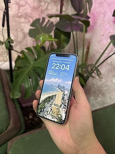 IPhone 12 Pro, Колдонулган, 256 ГБ, Күмүш lalafo.kg да IPhone 12 Pro, Колдонулган, 256 ГБ, Күмүш