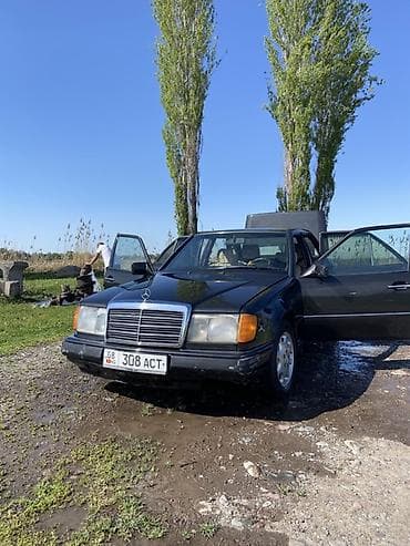 Mercedes-Benz W124: 1990 г., 2 л, Кол менен иштөөчү, Газ, Седан — 3