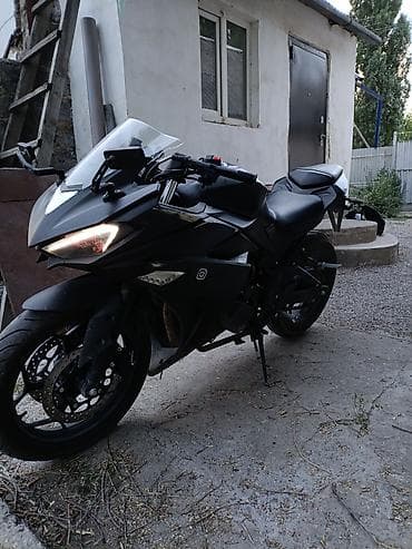 эндуро 06: Спортбайк Kawasaki, 250 куб. см, Бензин, Взрослый, Б/у — 1