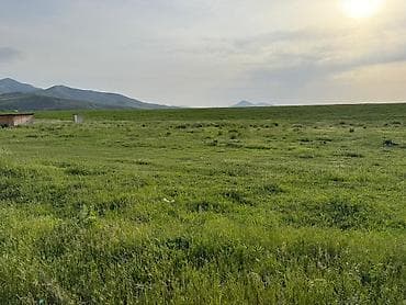 Земельные участки: 10 соток, Для строительства, Красная книга — 6