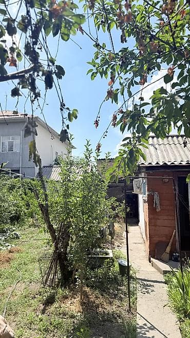 в цуме: Продам дом с участком 4,28 соток по ул.Маяковского пересекает — 2