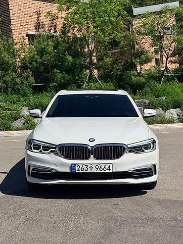 byd e2 2019: BMW 5 series: 2019 г., 2 л, Автомат, Бензин, Седан — 1