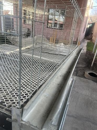 Собаки: Многоярусная клеточная батарея для птицы Высота 165 Ширина 142 — 3