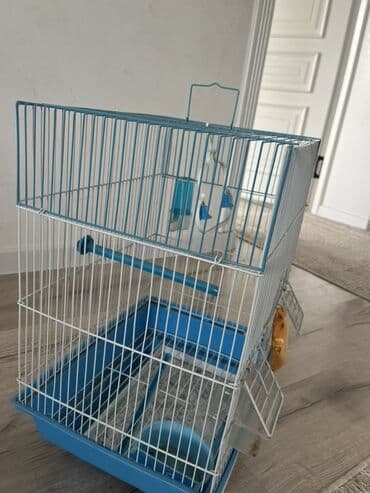 как купить кошку: Клетка для птиц с синим поддоном и белыми прутьями. Внутри установлена — 2