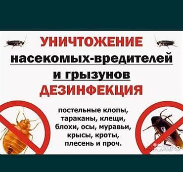обработка квартиры от блох цена: Дезинфекция, дезинсекция, | Блохи, Вирусы, микробы, Клопы, | Дома, Кафе, магазины, Квартиры — 2