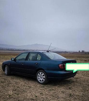 terrano 2: Nissan Primera: 2000 г., 2 л, Механика, Бензин, Седан — 4