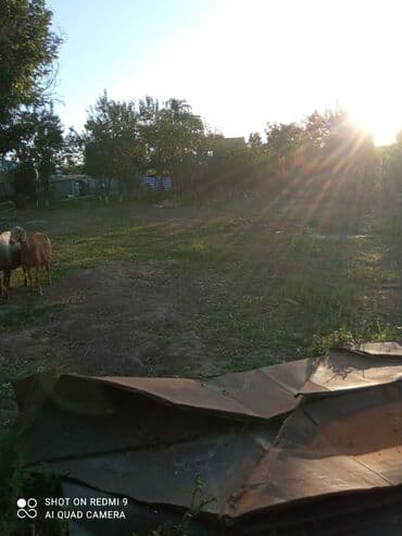 продажа домов чолпон ата: 5 соток, Для сельского хозяйства, Красная книга, Тех паспорт — 6