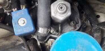 очень нужны: ГБО, Новый, Китай — 20