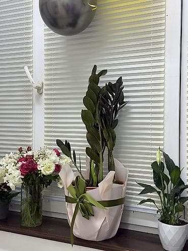 салон кабинет: Сдаю в аренду кушетку со всеми условиями ❤️прошу читать внимательно — 2