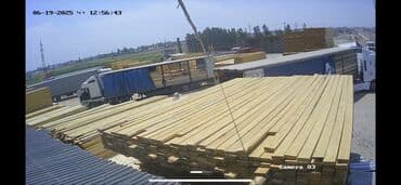 сакура дерево купить: Тактайлар, Кырдуу, Чатыр үчүн, Кызыл карагай, Кургак — 4