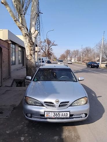 Nissan Primera: 2001 г., 1.8 л, Механика, Бензин, Универсал at lalafo.kg Nissan Primera: 2001 г., 1.8 л, Механика, Бензин, Универсал
