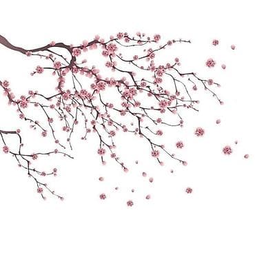 Размещение рекламы: Обучение пиндуодуо
пишите в любое время 
100сом обучение — 1