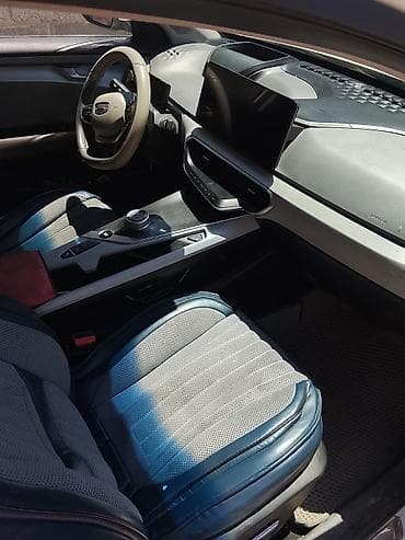 gac aion v: Geely Emgrand: 2019 г., Электромобиль, Седан — 5