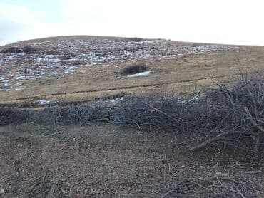 отдам даром двери: Дрова бесплатно . Неограниченное количество. Самовывоз. Спиленные — 2