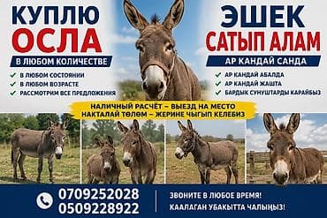 Частное лицо | Любое состояние