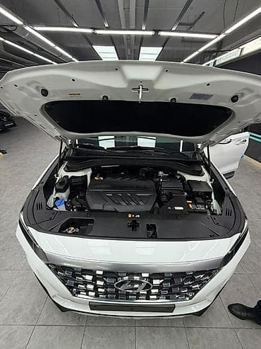 дамас 2: Hyundai Santa Fe: 2019 г., 2 л, Автомат, Дизель, Кроссовер — 9