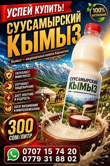 бал кымыз цена: Суусамырский кымыз — национальный кисломолочный напиток Кыргызстана — 1