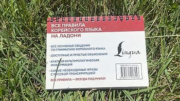переписать конспект за деньги: Справочник «Все правила корейского языка на ладони» (издательство — 2
