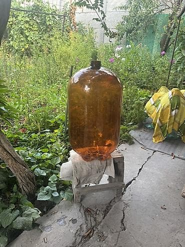 ящик для яиц: Бутылки, Б/у, Самовывоз — 3