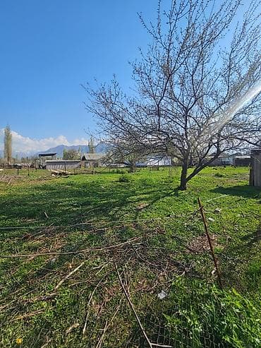продажа земли сельскохозяйственного назначения: 6 соток, Для бизнеса, Красная книга — 6