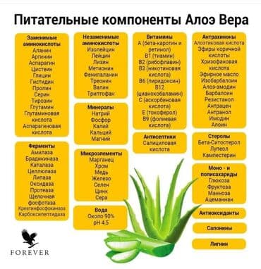 Прокат одежды: Соки из алоэ вера от американской компании форевер: очищает организм — 5