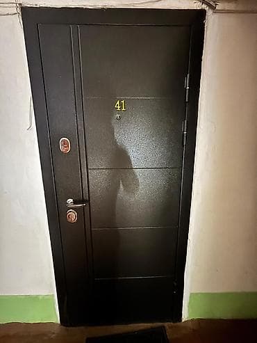 Внутренняя отделка: Двери для домов и квартир, Металлическая, Одностворчатая, цвет - Черный — 2