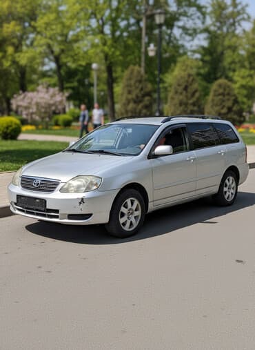 Toyota Corolla: 2003 г., Механика, Универсал