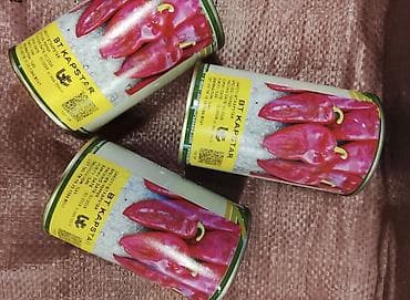 семенной: Помидоры и перцы продаем. Помидор жана перец сатабыз. Оргинал — 2