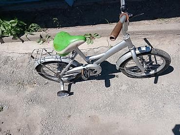 КОЛДОНУЛГАН АБАЛЫ орто 1000 сом