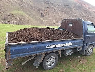 био мёд: В тоннах, Портер — 2