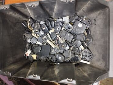 Бала бакчалар, бала багуучулар: Компьютердик диагностика, Автоунаа системаларын жөнгө салуу, адаптациялоо, баруу менен — 16