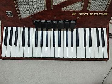 баян пятирядный: Аккордеон “Восток‑3” (кнопочно-клавишный) - Клавиатура правой руки — 3