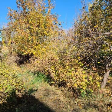 продаю дом новониколаевка: Үй, 150 кв. м, 5 бөлмө, Менчик ээси, Евро оңдоо — 34