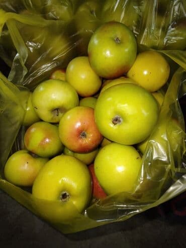 натуральный сок цена бишкек: Яблоки Голден, Оптом — 2