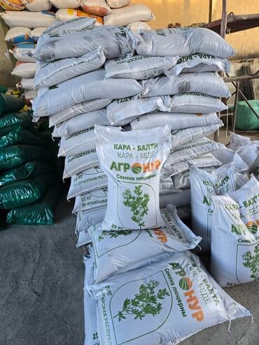 печь для отопления дома бишкек: Уруктар тоют өсүмдүктөрүнүн: Эспарцет, Өзү алып кетүү, Акылуу жеткирүү — 1