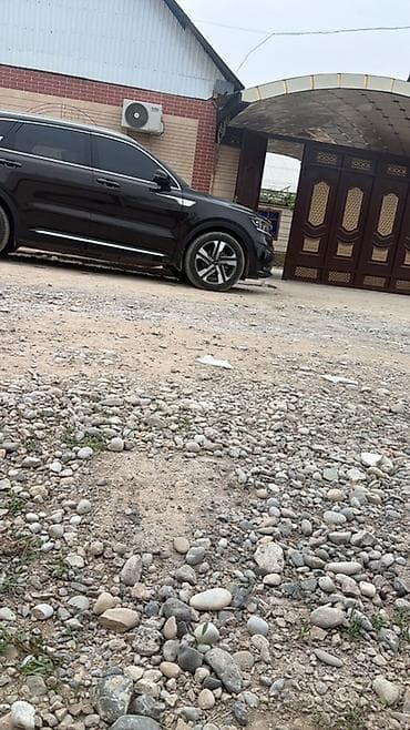 Транспорт: Kia Sorento: 2020 г., Автомат, Гибрид, Кроссовер — 5