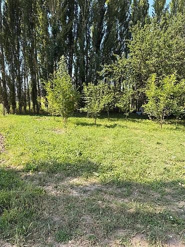 Земельные участки: 5 соток, Для сельского хозяйства, Красная книга — 2