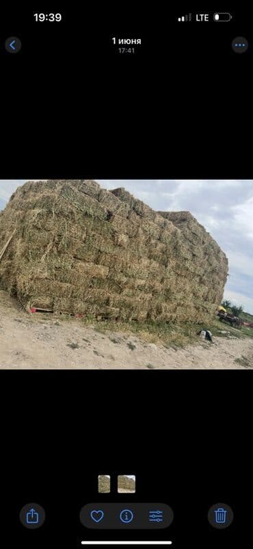 домашний кури: Беде чоп — 1