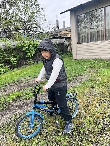 батут каркасный: Детский велосипед, 2-колесный, 4 - 6 лет, Для мальчика — 1