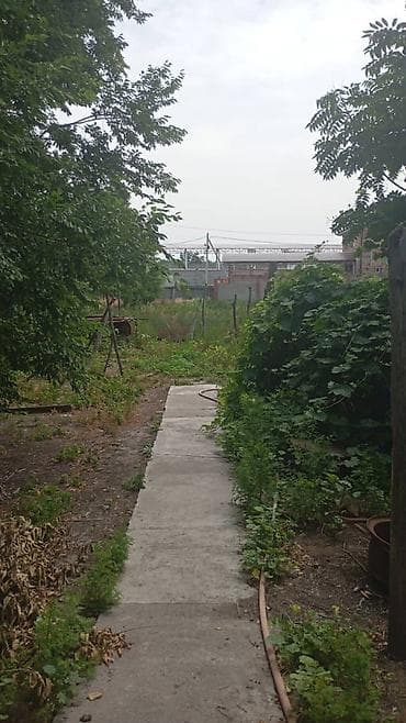 Дома: Продаётся жилой дом с участком. - Одноэтажный дом с двускатной — 7