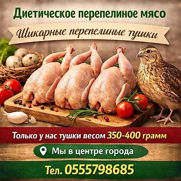 Перепелиное мясо, крупные тушки лучшие перепёлки в Бишкеке! lalafo.kg да Перепелиное мясо, крупные тушки лучшие перепёлки в Бишкеке!