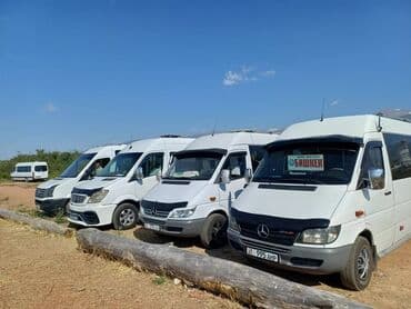 нави такси контакты: По городу, По региону Бус, Такси, легковое авто | 18 мест — 6