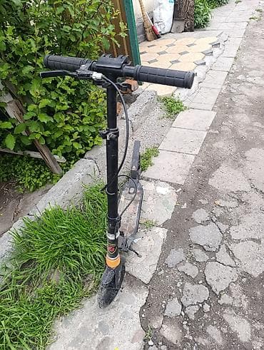 лимузин бычок: Самокат — 2