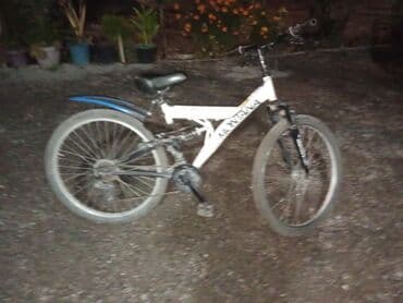 купить велосипед с большими шинами: Горный велосипед, Сталь — 1