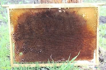 кой кант: Сушь "Дадан". Рамки б/у в отличном состоянии. Пользовались не долго, 2 — 1