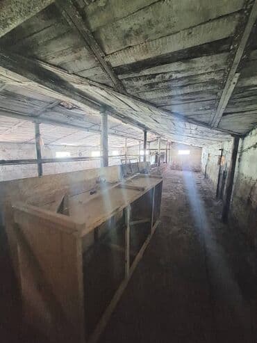 сокулук дом участок: 16 соток — 7