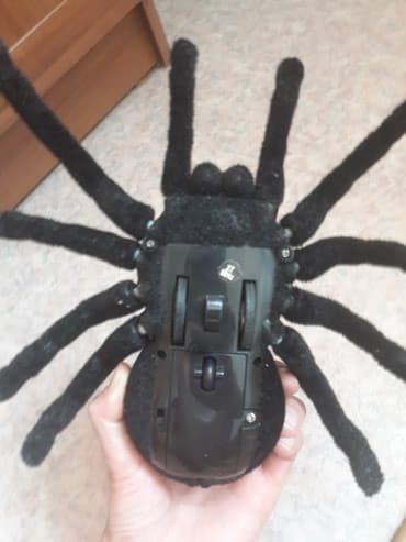 кукла домик: Продаю паук с пультуправлением новый "тарантул"как на фото — 7
