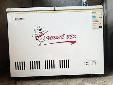 морозильни: Морозильный ларь НОВЫЙ ВЕК BD-225L - Тип: морозильник-ларь - Полезный — 1