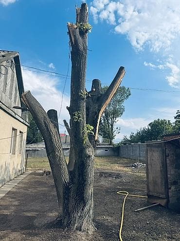 с мебелью: Другой декор — 3