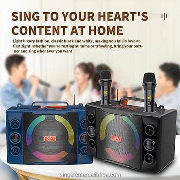 Аудиотехника: Портативная акустическая система Sing-e ZQS-816T с караоке - — 6